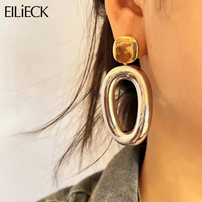 Stainless Steel Exaggerated Geometric Earrings