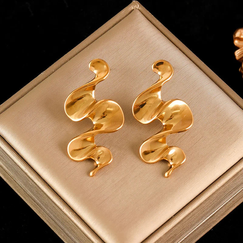 Stainless Steel Exaggerated Geometric Earrings