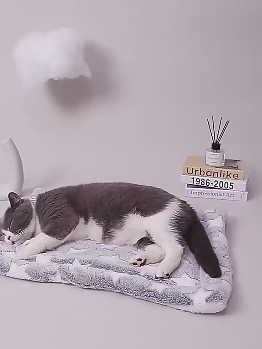 Pet Sleeping, Mat, Dog & Cat Bed, Puppy Bed