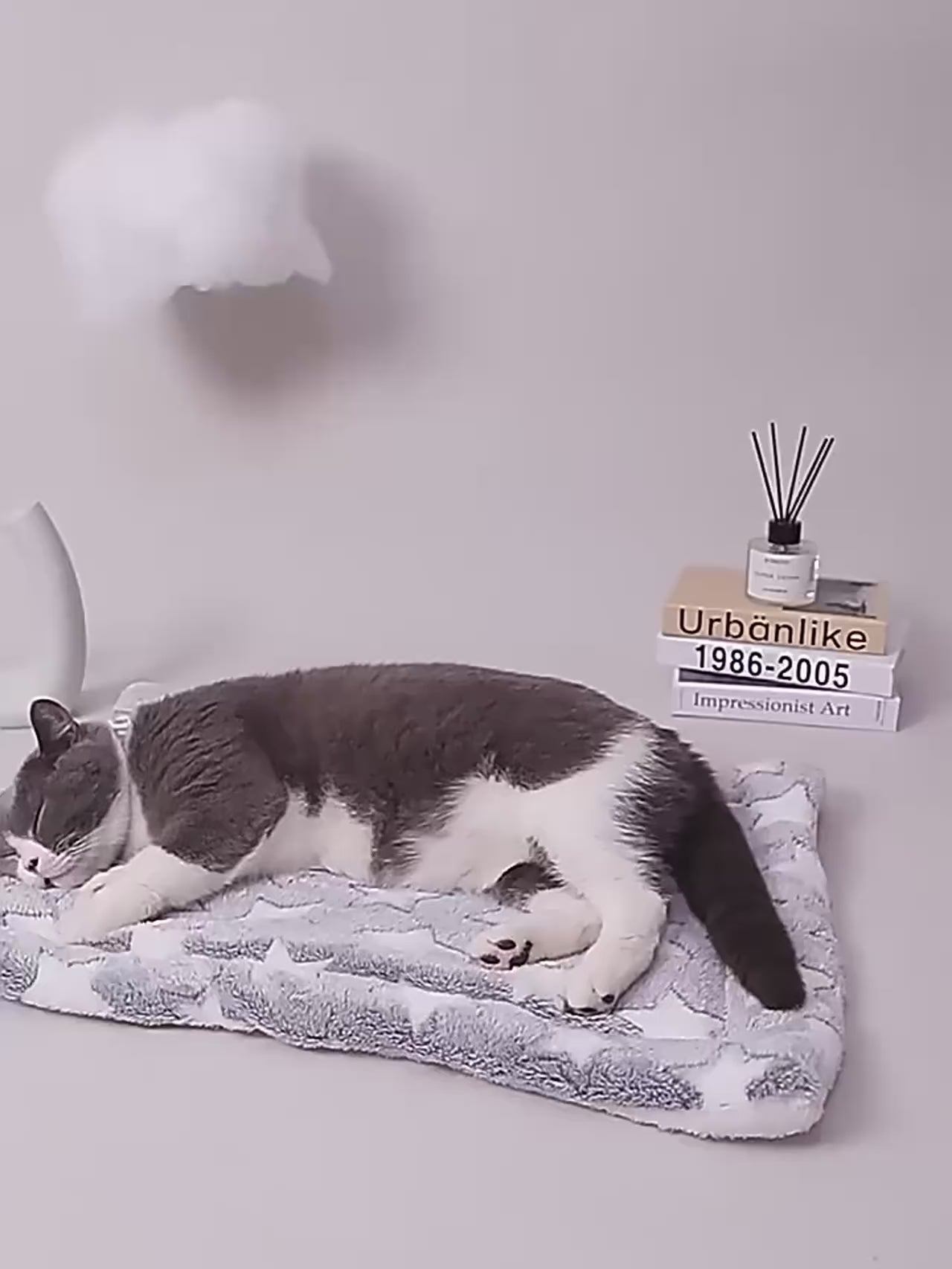 Pet Sleeping, Mat, Dog & Cat Bed, Puppy Bed